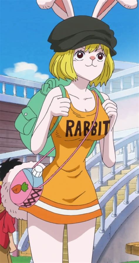 hentai carrot one piece|New Videos Tagged with carrot (one piece) (11)